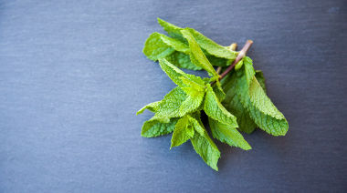 garnishing-instructions-image
